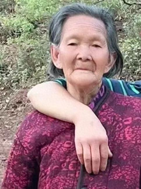 走失者照片 平顶山市寻人：八旬老太走失，穿紫色...