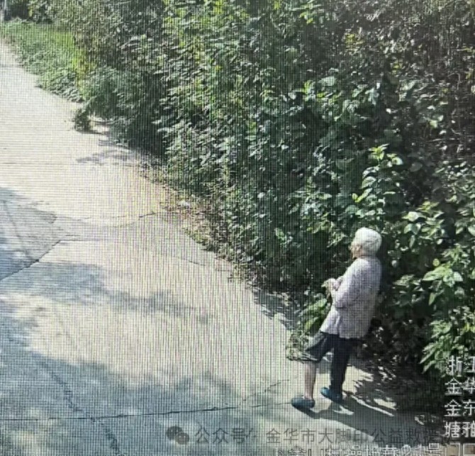 走失者照片 金华市寻人：八旬老太走失，穿碎花上...