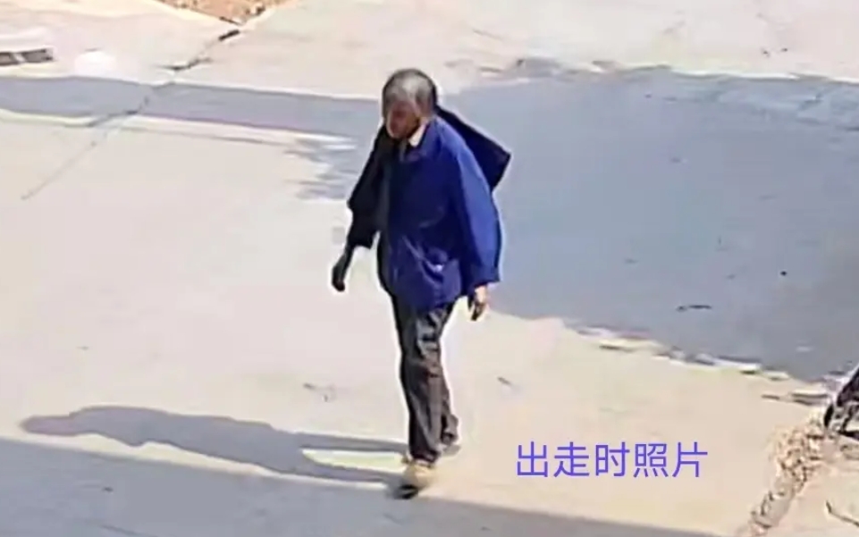 走失者照片 永州市寻人：七旬老太走失，穿蓝色布...