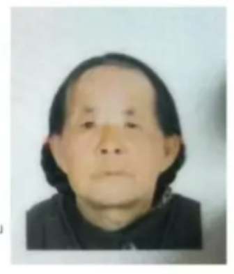 走失者照片 临夏州寻人：八旬老太走失，穿黑色大...