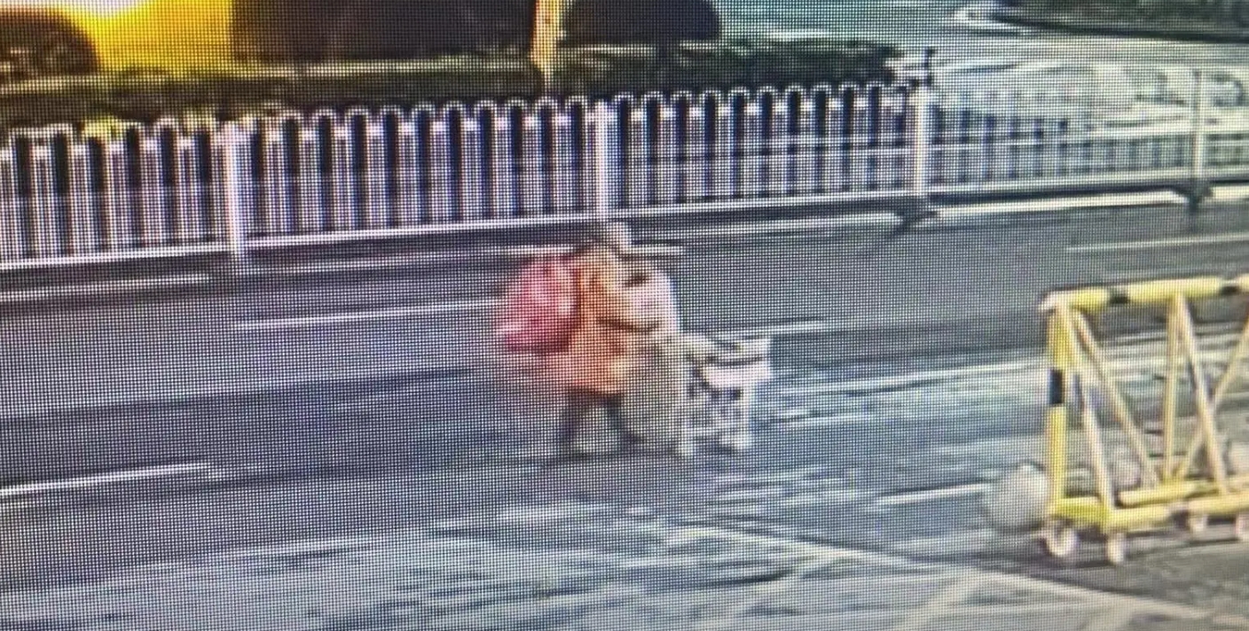 走失者照片 衡阳市寻人：七旬老人走失，穿橘黄色...