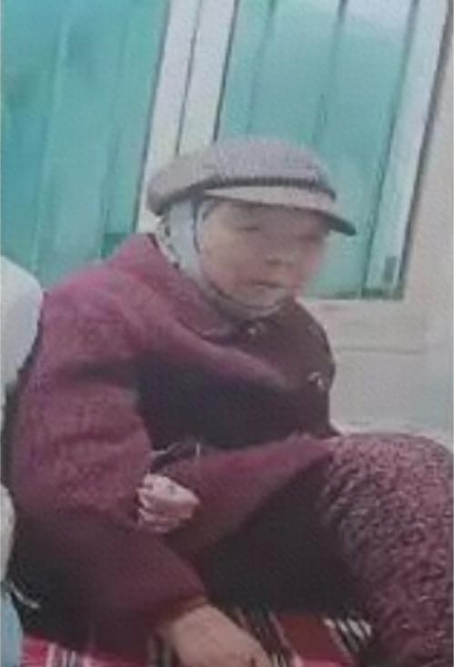 走失者照片 咸阳市寻人：七旬老太走失，头系黑色...