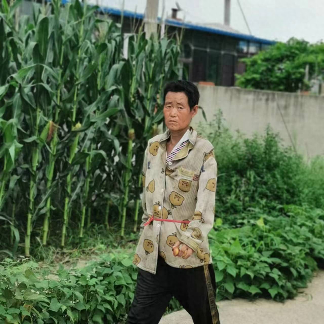 走失者照片 沈阳市寻亲：五旬女子被救助，精神异...
