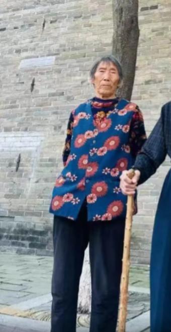 走失者照片 平顶山市寻人：八旬老太走失，穿花上...