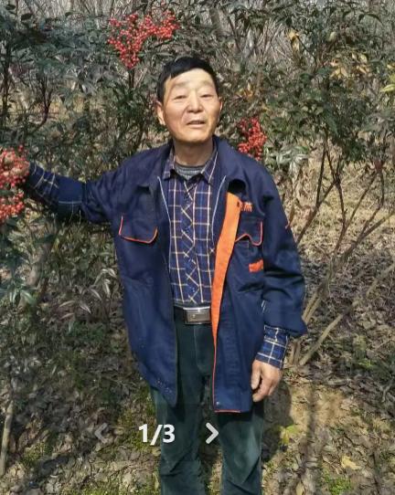走失者照片 阜新市寻人：六旬老人走失，高1米6...