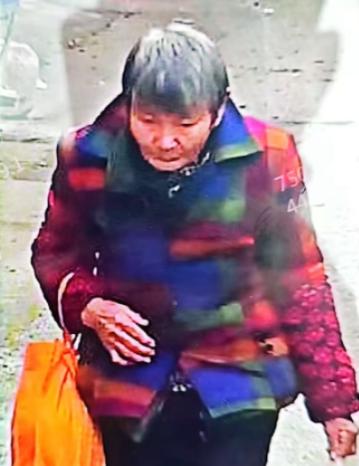 走失者照片 南平市寻人：八旬老太走失，穿深绿色...