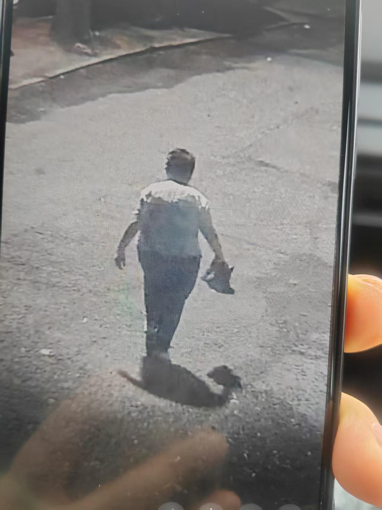 走失者照片 七台河市寻人：六旬老太走失，穿浅蓝...