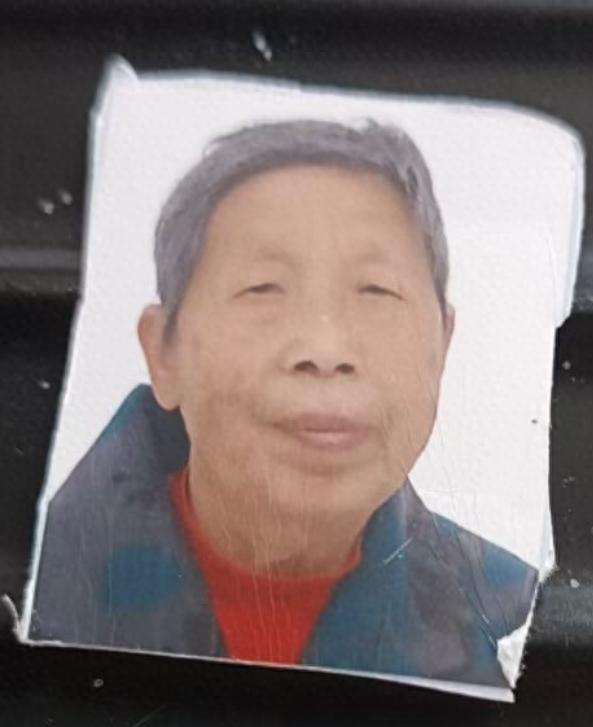走失者照片 南昌市寻人：七旬老太走失，穿蓝色花...