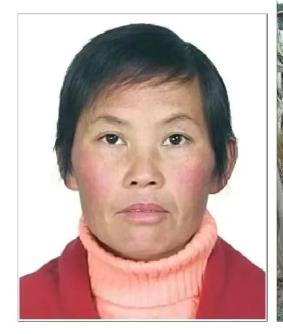 走失者照片 商洛市寻人：五旬女子走失，穿绿色连...