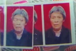 走失者照片 襄阳市寻人：八旬老太走失，穿棕色上...