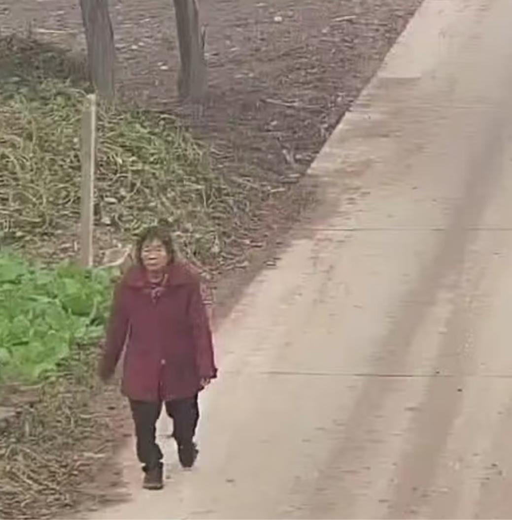 走失者照片 阜阳寻人：七旬老太走失，患阿尔茨海...
