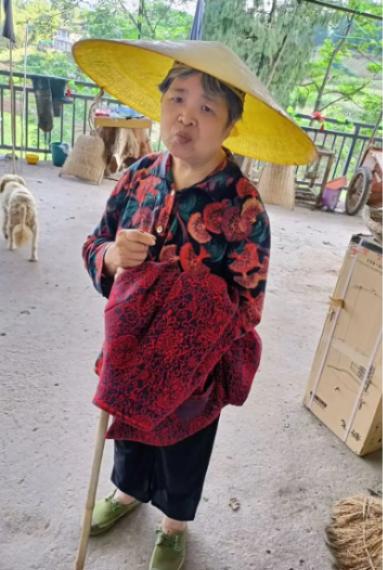 走失者照片 重庆市寻人：七旬老太走失，穿蓝色碎...