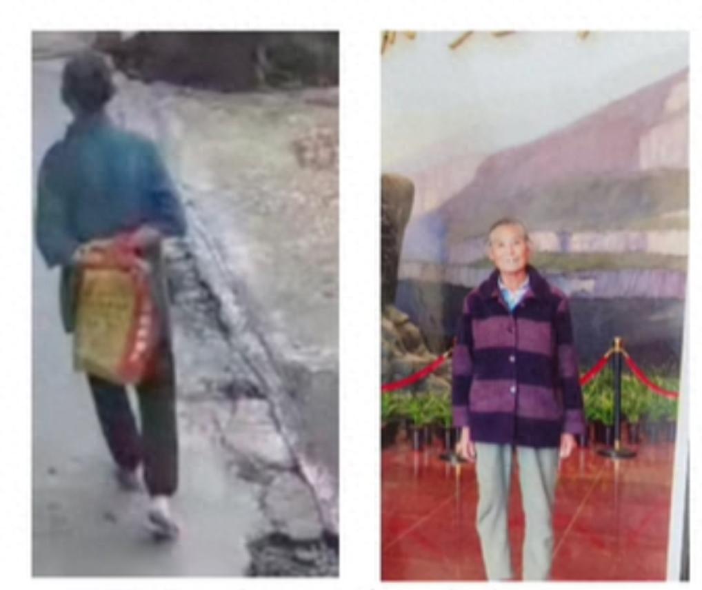 走失者照片 达州市寻人：七旬老太走失，穿绿色上...