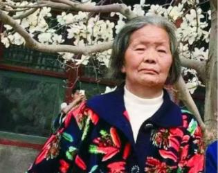 走失者照片 南充市寻人：八旬老太走失，穿花色上...