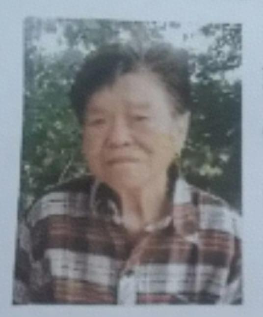 走失者照片 阳泉市寻人：八旬老太走失，穿紫色上...
