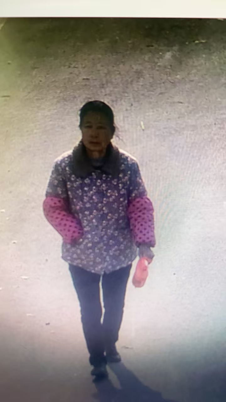 走失者照片 抚州市寻人：六旬老太走失，穿紫色花...