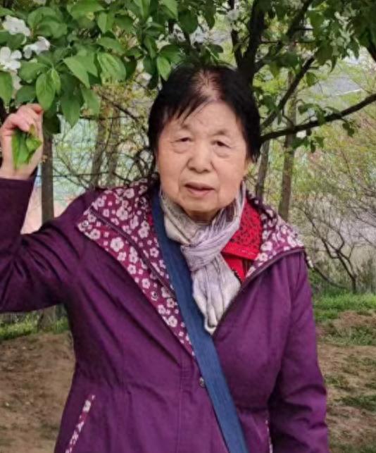 走失者照片 咸阳市寻人：七旬老太走失，穿灰色碎...