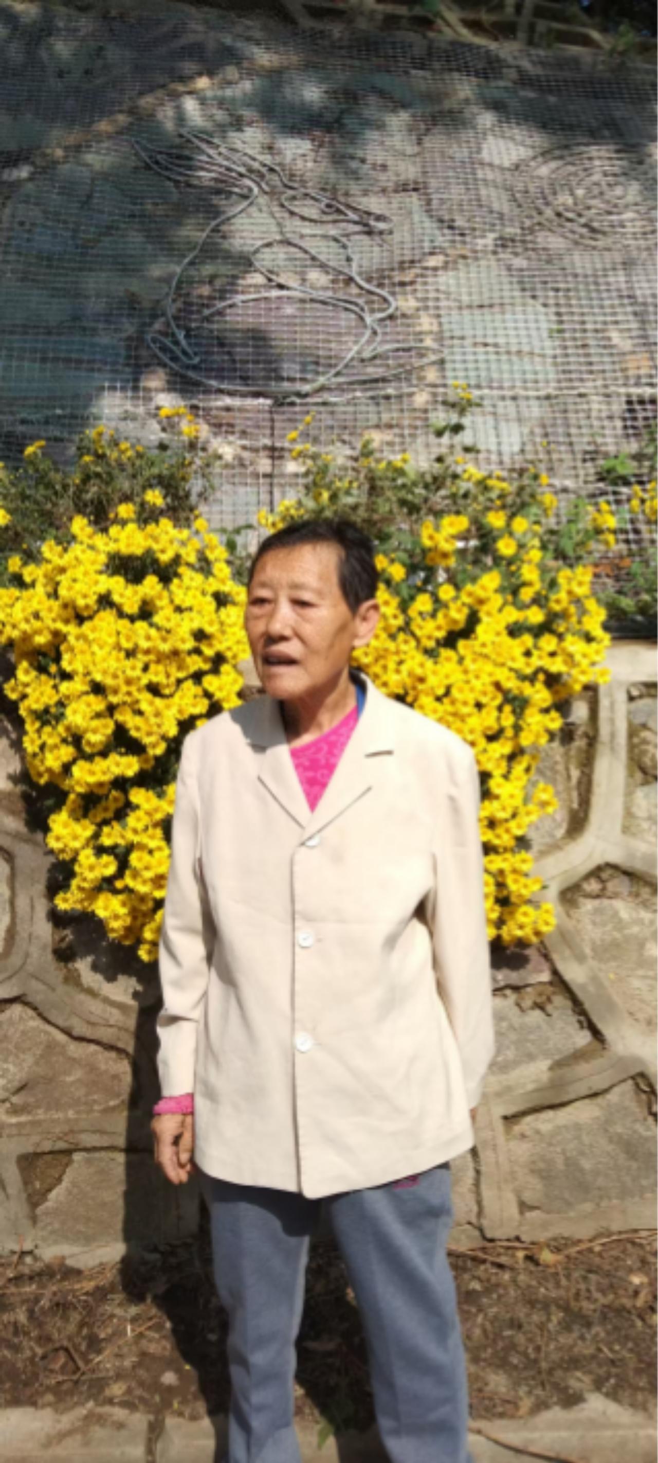 走失者照片 沈阳市寻人：七旬老太走失，患小脑萎...
