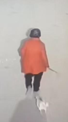 走失者照片 德阳市绵竹市寻人：七旬老太走失，患...