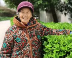 走失者照片 眉山市寻人：八旬老太走失，穿紫色外...