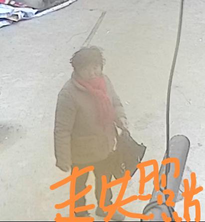 走失者照片 开封市寻人：五旬女子走失，患抑郁症...