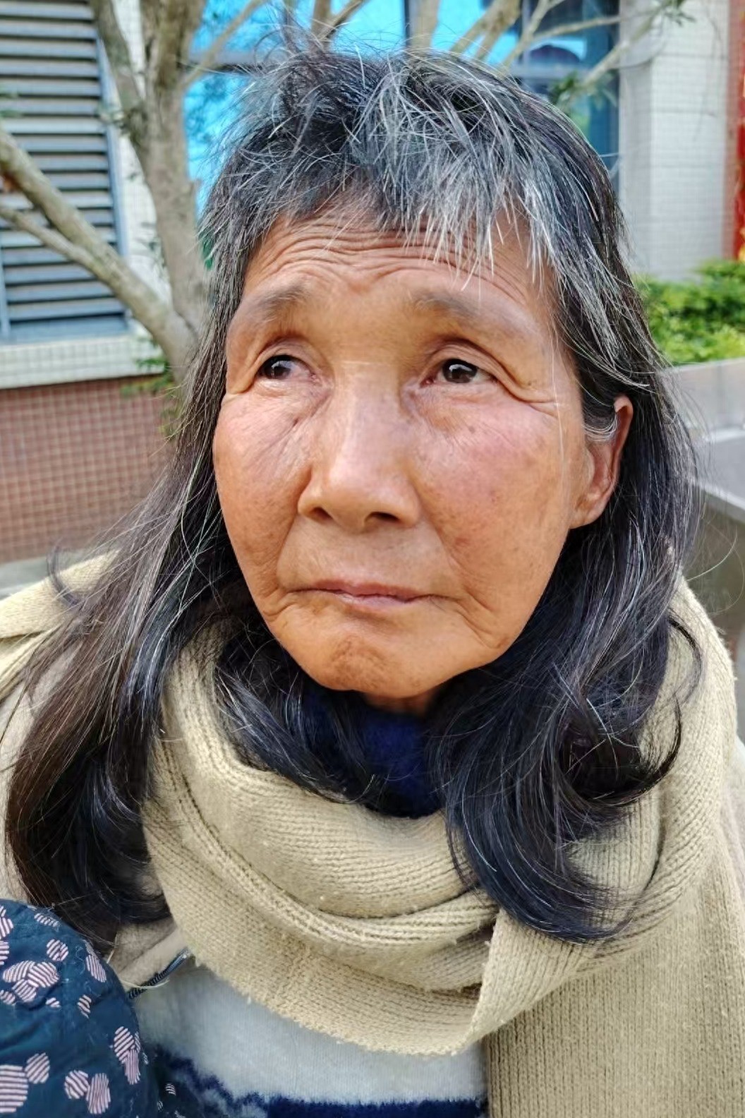 走失者照片 漳州市寻亲：六旬老太被救助，自述叫...