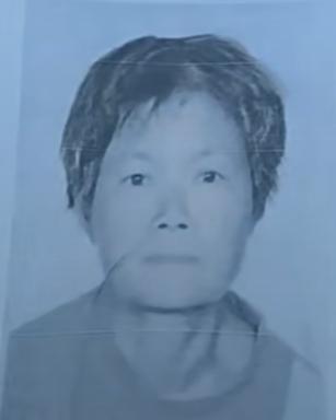 走失者照片 漯河市寻人：六旬老太走失，患精神障...