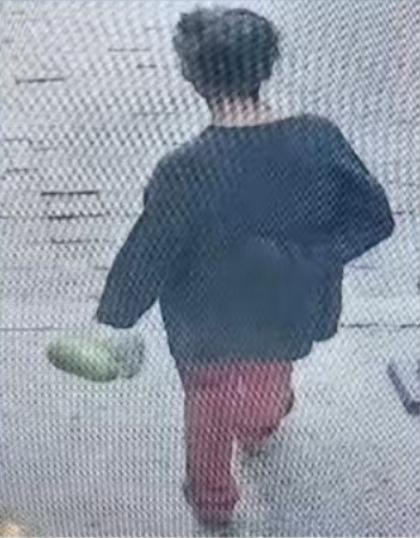走失者照片 合肥市寻人：七旬老太走失，穿暗绿色...