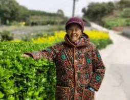 走失者照片 眉山市寻人：八旬老太走失，穿紫色外...