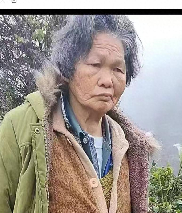 走失者照片 贵港市桂平市寻人:七旬老太走失,穿...