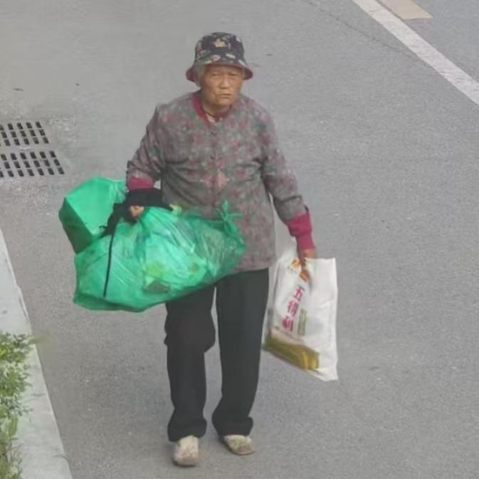 走失者照片 营口市寻人：七旬老太走失，穿灰色上...