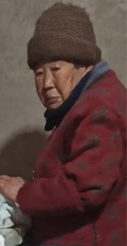 走失者照片 烟台海阳寻人：八旬老太走失，穿暗红...