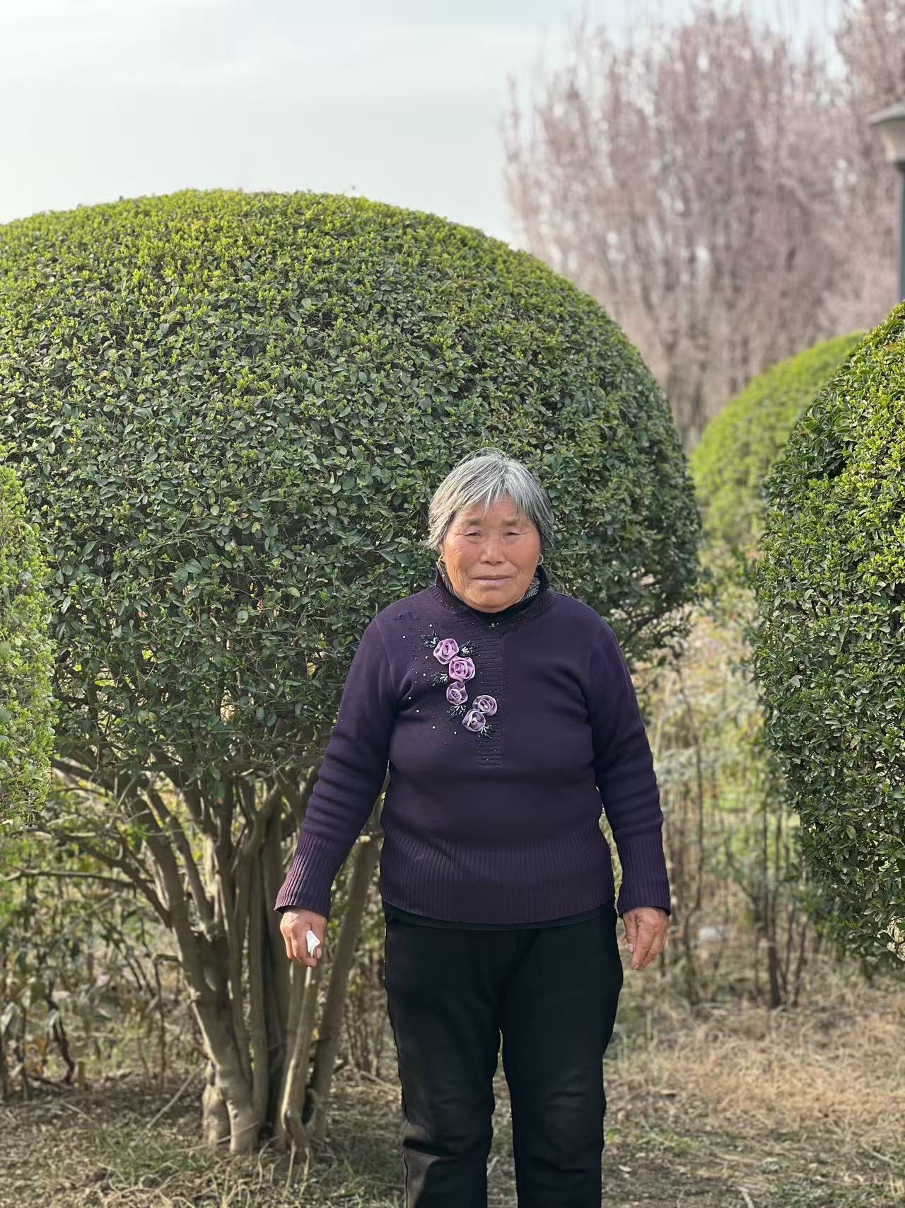 走失者照片 黄冈麻城寻人：七旬老太走失，患阿尔...