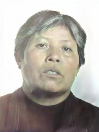 走失者照片 南阳市寻人：七旬老太走失，穿黄色外...