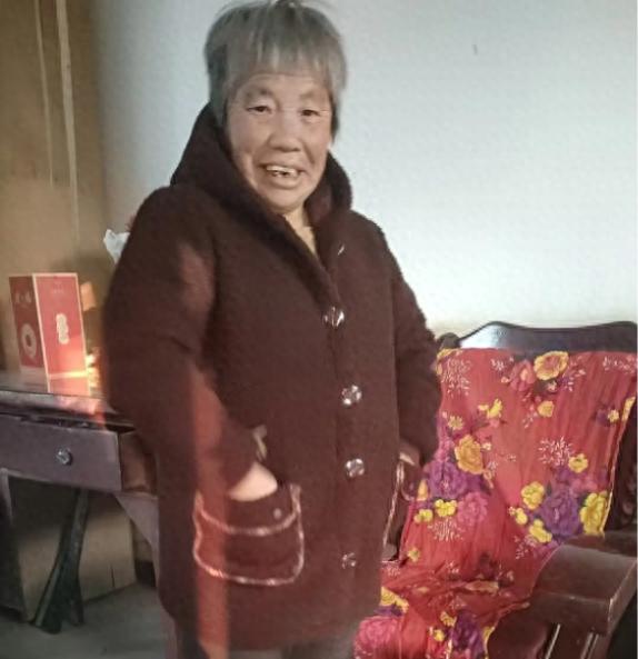 走失者照片 渭南市寻人：六旬老太走失，穿紫色上...