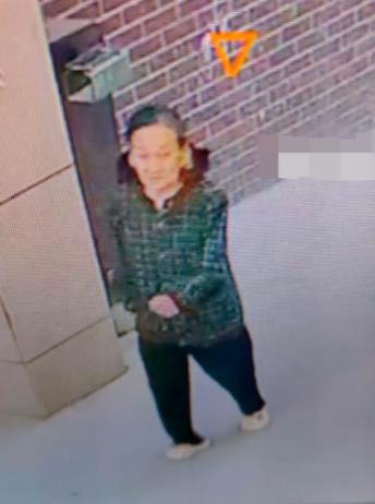 走失者照片 商丘市寻人：八旬老太走失，患精神障...
