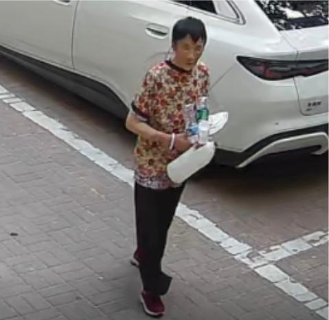 走失者照片 漯河市寻人：七旬老太走失，穿花上衣...