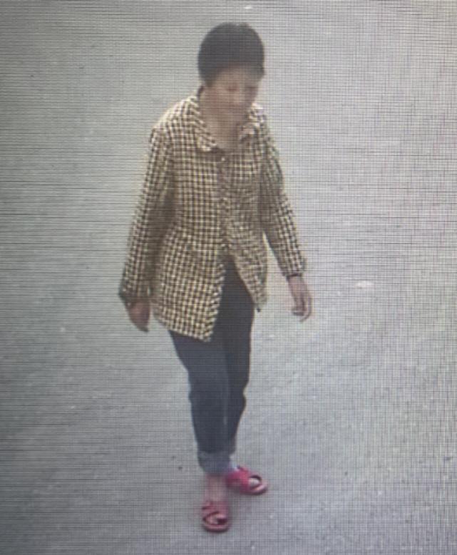 走失者照片 郴州市寻人：五旬女子走失，穿黄色格...