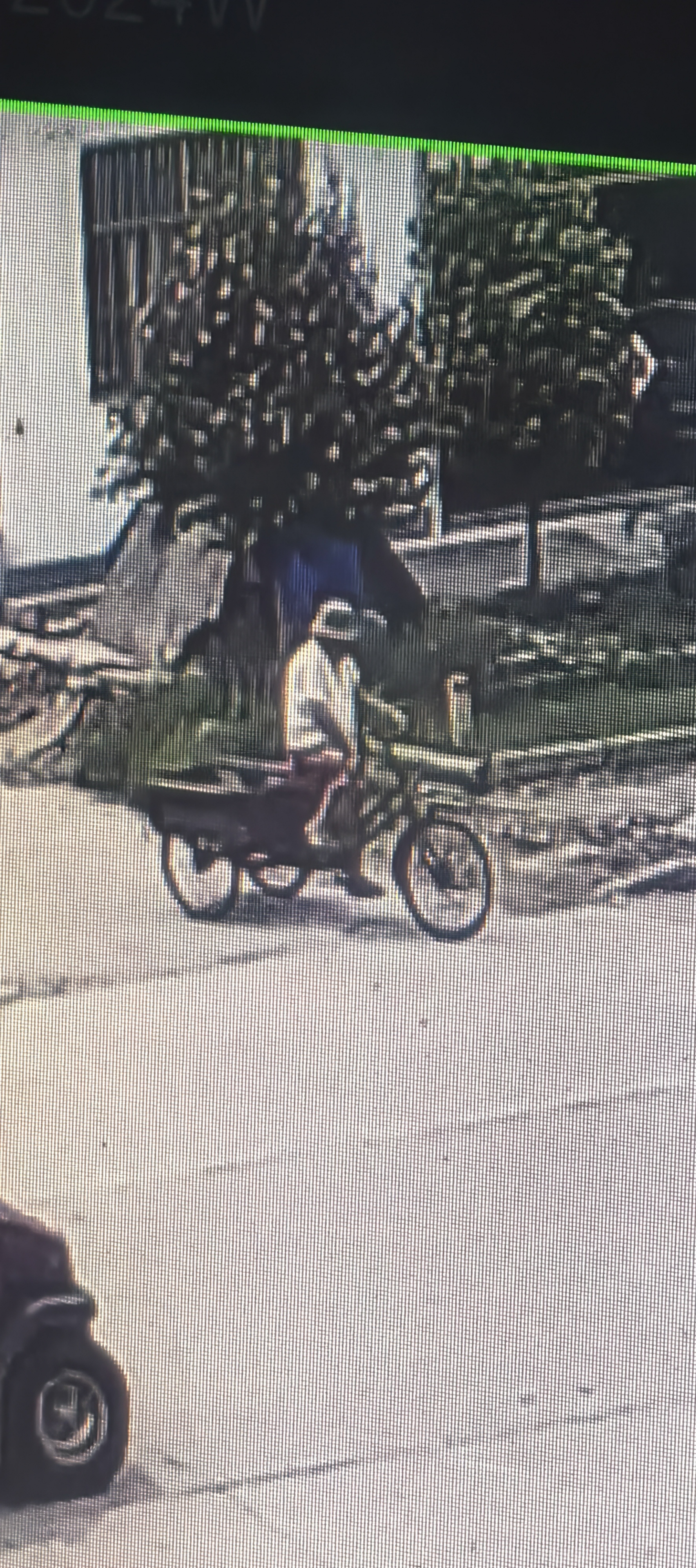 走失者照片 徐州市邳州市寻人：八旬老太走失，穿...