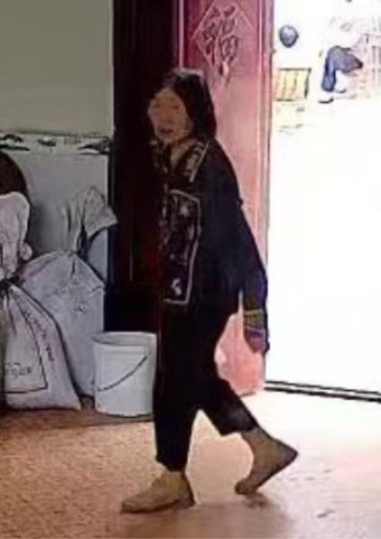走失者照片 重庆市寻人：八旬老太走失，穿深色衣...