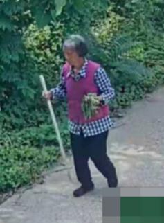 走失者照片 常德市寻人：八旬老太走失，穿红色马...