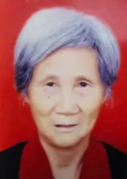 走失者照片 平顶山市寻人：九旬老太走失，穿红色...