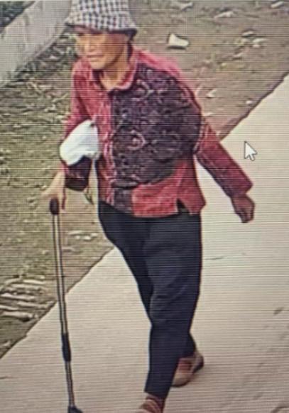 走失者照片 廊坊寻人：七旬老太走失，患抑郁症，...
