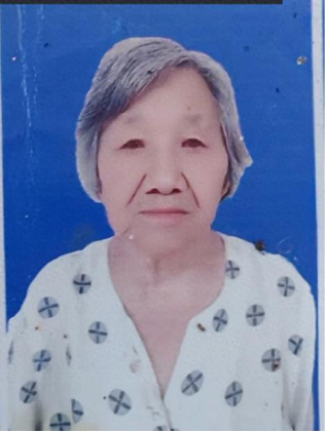走失者照片 南阳市寻人：九旬老太走失，穿红色上...
