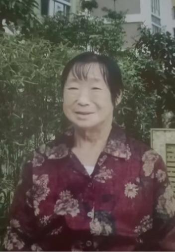 走失者照片 邯郸市寻人：八旬老太走失，穿紫红色...