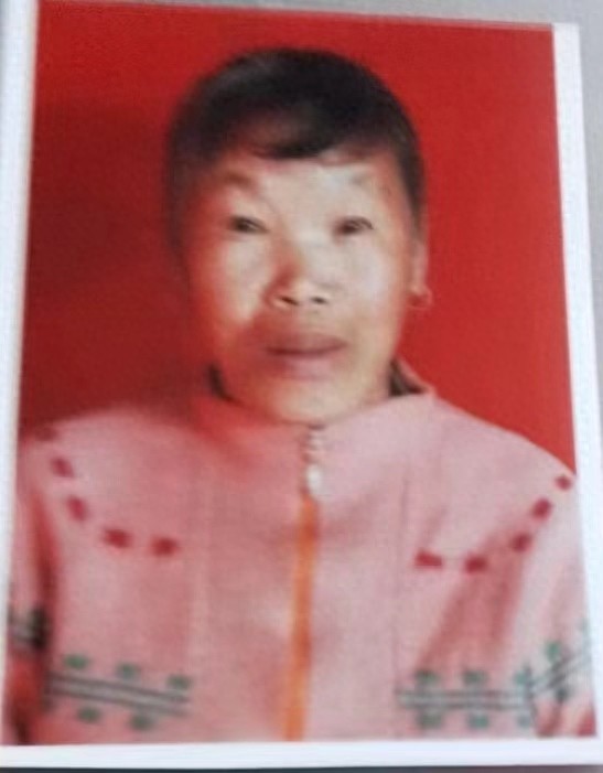 走失者照片 鸡西市寻人：七旬老太走失，穿蓝色上...