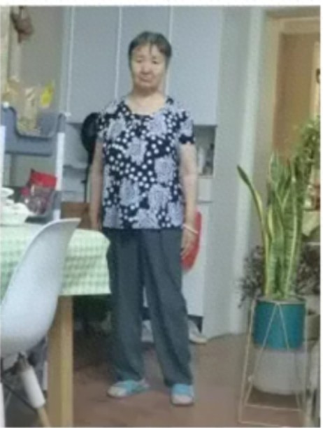 走失者照片 平顶山市寻人：七旬老太走失，穿蓝色...