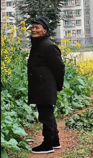 走失者照片 宜宾市寻人：七旬老人走失，穿淡黄色...