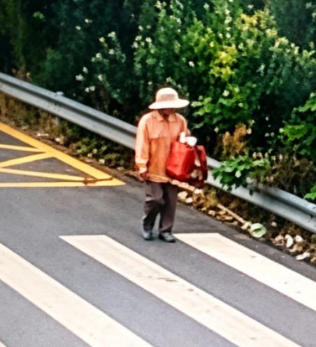 走失者照片 安阳市寻人：六旬老太走失，穿橙色上...