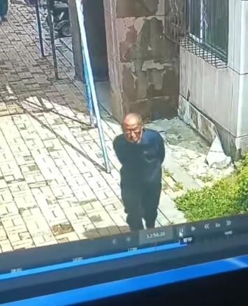 走失者照片 哈尔滨市寻人：八旬老人走失，患小脑...